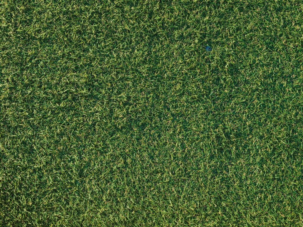 beste kunstgras beste kunstgras