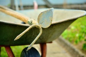 Hoe hoveniers kunnen helpen met een milieuvriendelijke tuin