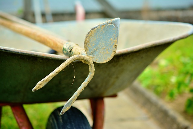 Hoe hoveniers kunnen helpen met een milieuvriendelijke tuin