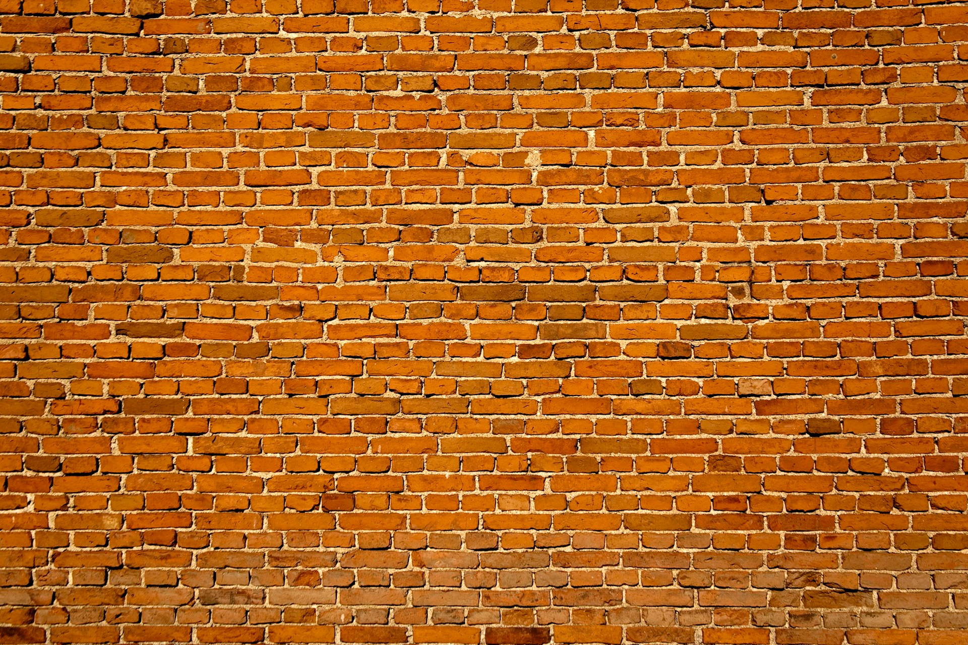 Voegbedrijf Den Haag